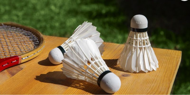 Hướng Dẫn Cách Chơi Cá Cược Cầu Lông Tại V9BET Chi Tiết Cho Người Mới 4 Cá Cược Cầu Lông tại V9BET